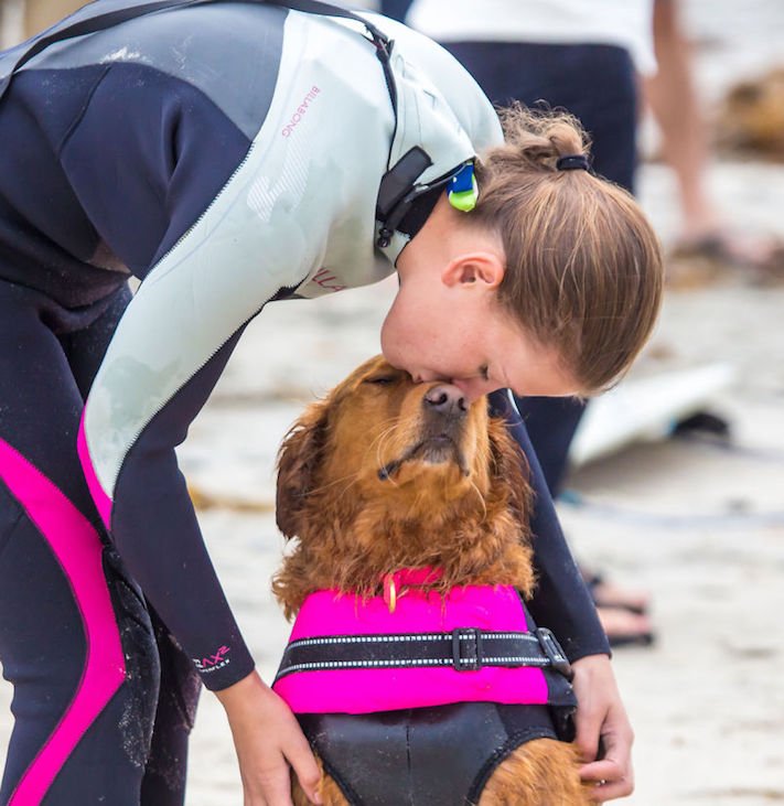 pes surfuje v moři na vodě surf surfující pes na prkně asistenční služební psi pomoc postiženým lidem s handicapem 9