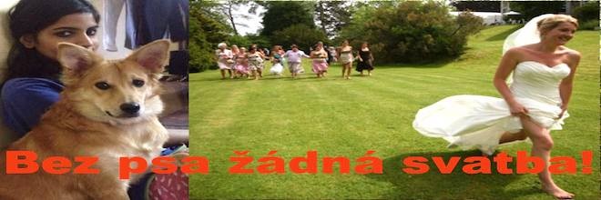 Žena utekla snoubenci, protože chtěl, aby se vzdala svého psa
