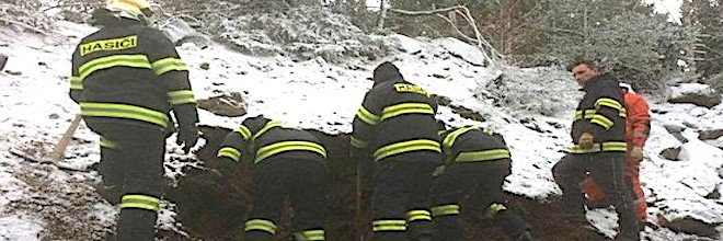 Jezevčíka Mildu hasiči nevysvobodili, po 8 dnech pomohla hárající fenka!