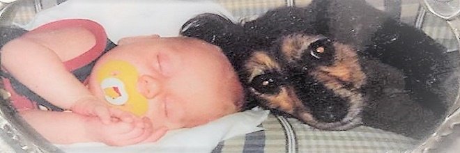 10+ obrázků PŘED a POTÉ: společné dospívání psů a páníčků
