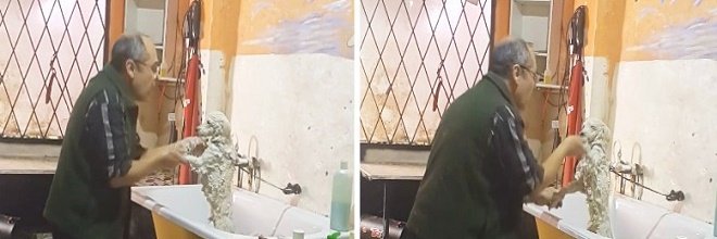 Tenhle psí kadeřník tancující se svými zákazníky Vás dojme ツ