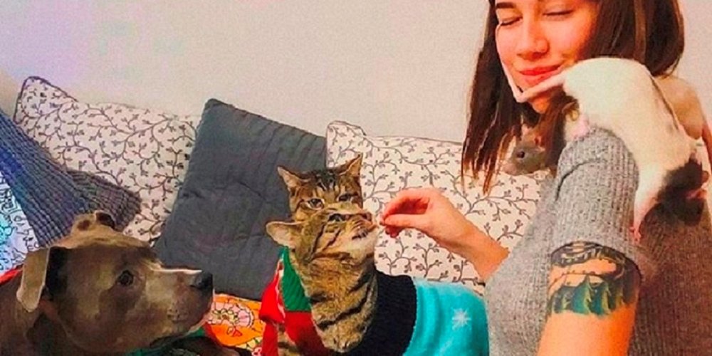 Jakmile se pes, kočky a krysy potkali, stali se z nich nejlepší přátelé
