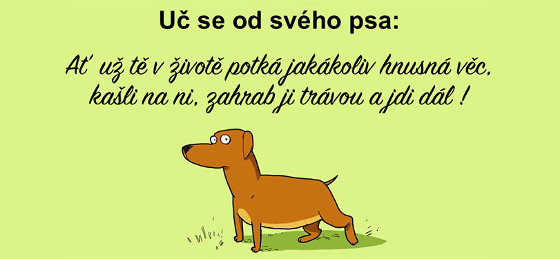10 věcí, které musí znát každý pejskař