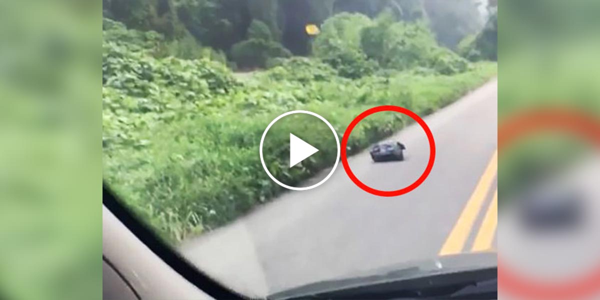 Žena viděla na ulici odpadkový pytel, který se hýbal. Poté nevěřila vlastním očím, musela rychle pomoct!