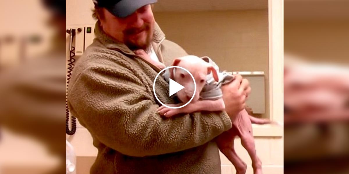 Nevyslovitelná radost psa při návratu zachránce