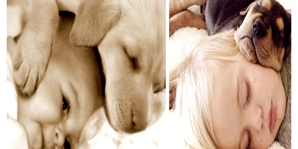 VÝZKUM: Psí prach chrání děti před běžnými viry a vznikem astma