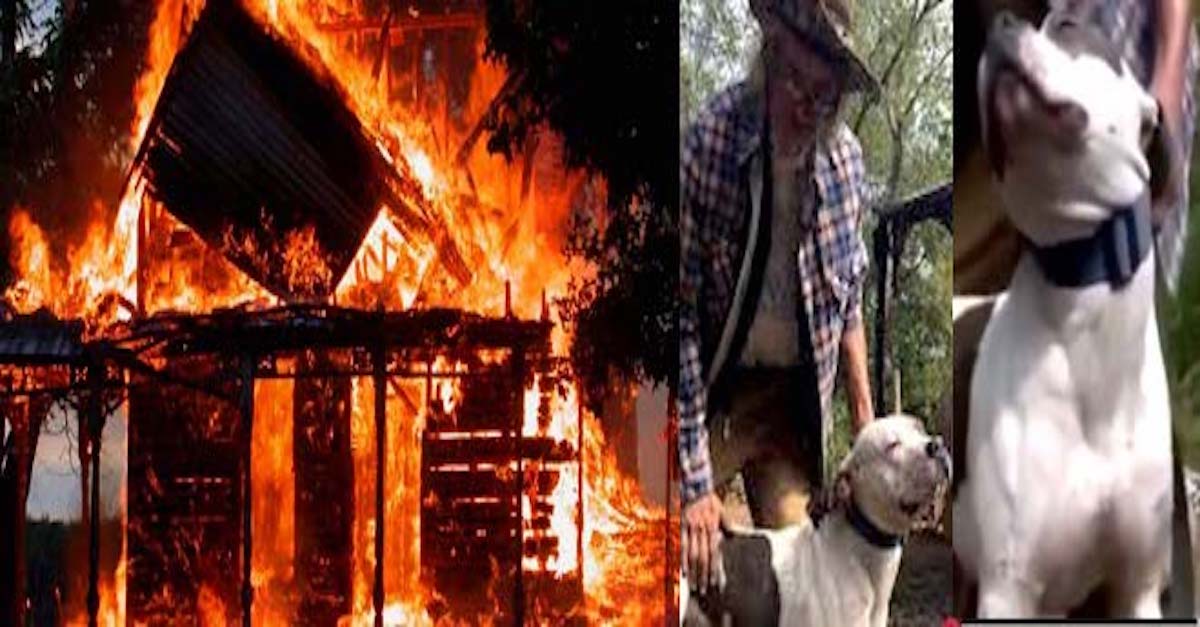 Oběť požáru zůstala na ulici, aby se mohla starat o psa