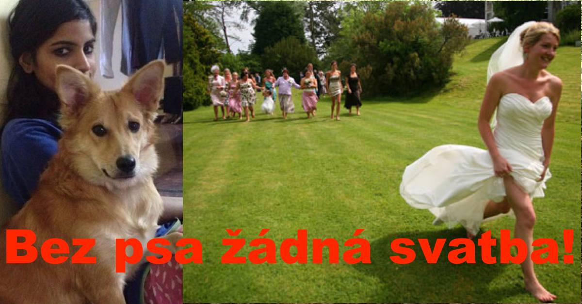 Žena utekla snoubenci, protože chtěl, aby se vzdala svého psa