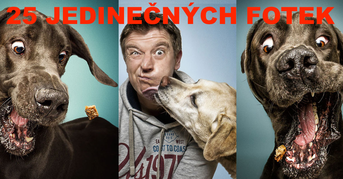 Nepředstavitelné výrazy psů, kteří se snaží chytit pamlsek