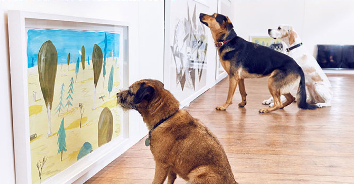 Celosvětově první výstava umění pro psy