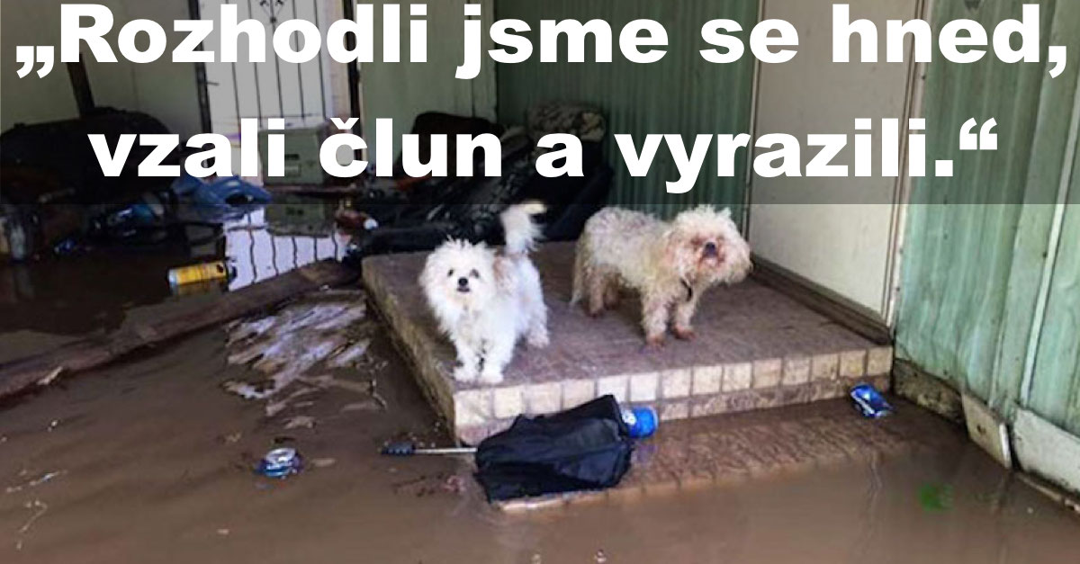 Otec se synem osvobodili 30 psů během povodní