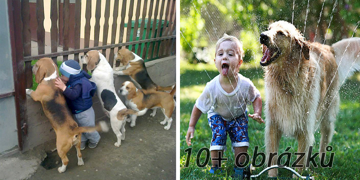 20+ úžasných fotografií, které dokazují, že Vaše dítě potřebuje štěně