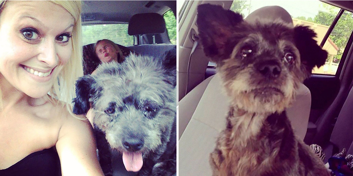 Tahle žena se slitovala nad psem s rakovinou, poslední dny mu udělala „nebeské“