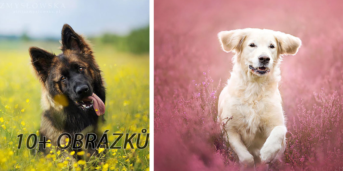 Dojemné fotografie z rukou 19ti leté dívky