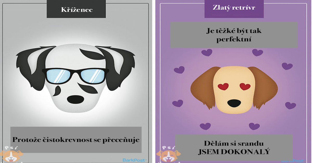 12 oblíbených psích plemen s jejich slogany, které Vás pobaví