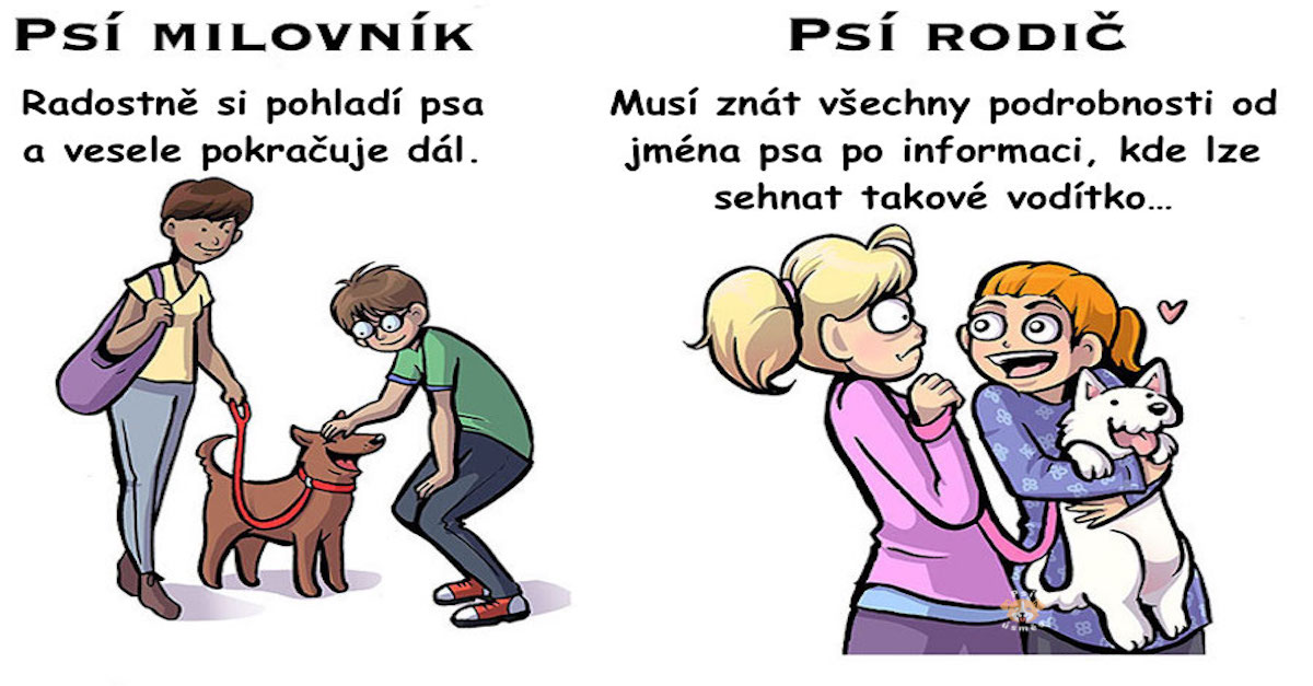 7 rozdílů mezi milovníky psů a rodiči psů