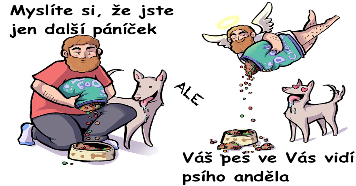 Jak se vidíte Vy vs. jak Vás vidí pes? (10+ zábavných ilustrací)