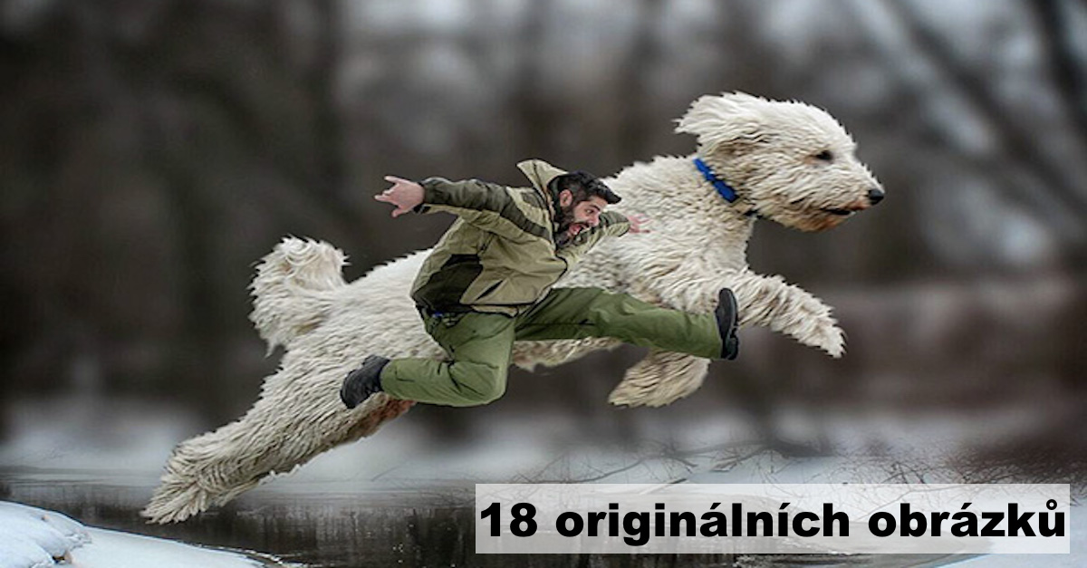 Fotograf proměnil svého psa v obra