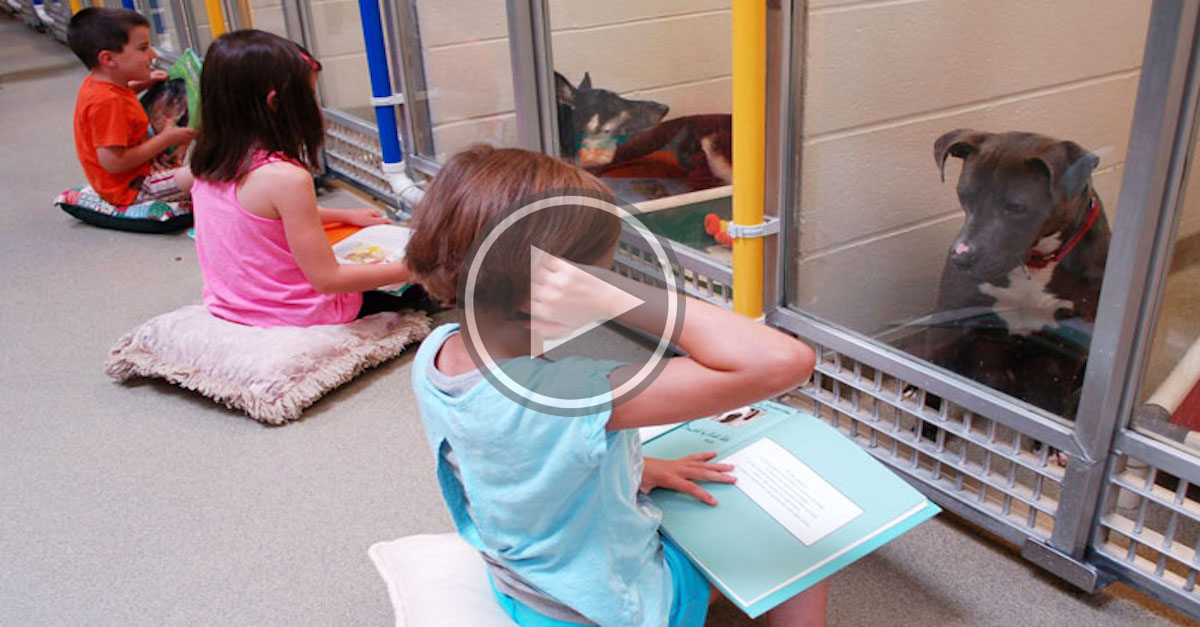 Děti v rámci výuky procvičují čtení před bázlivými psy v útulcích