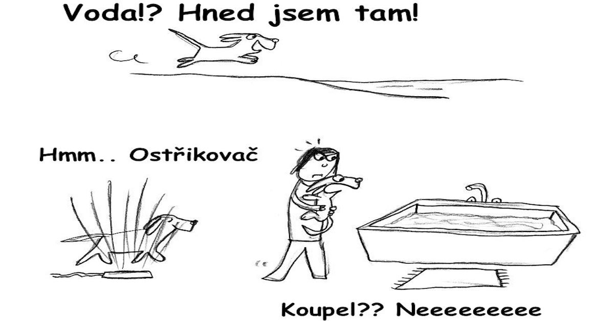 Jak být psem? (21 obrázků)