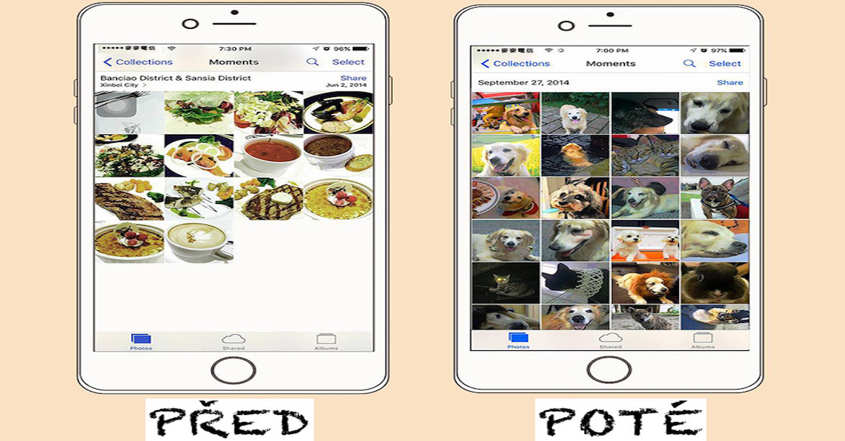 PŘED A POTÉ: Život se psem