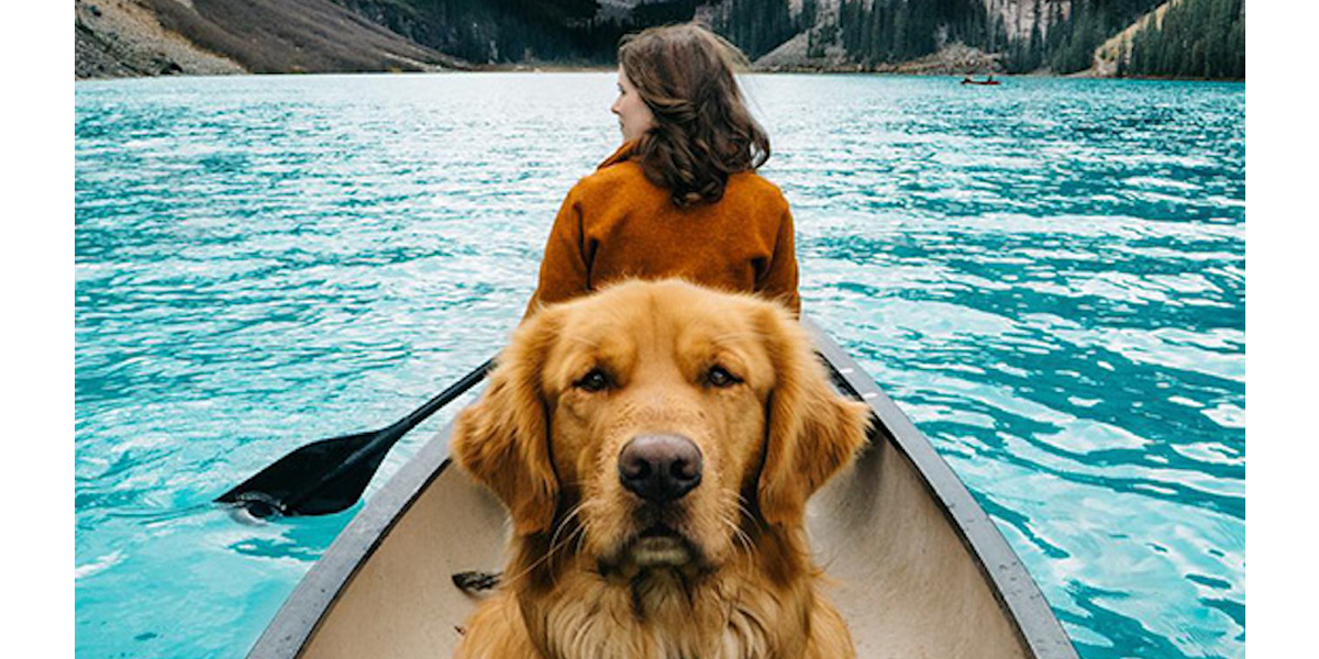 Vzali psa na epickou výpravu, aby dokázali, že psi jsou nejlepší parťáci na cestách