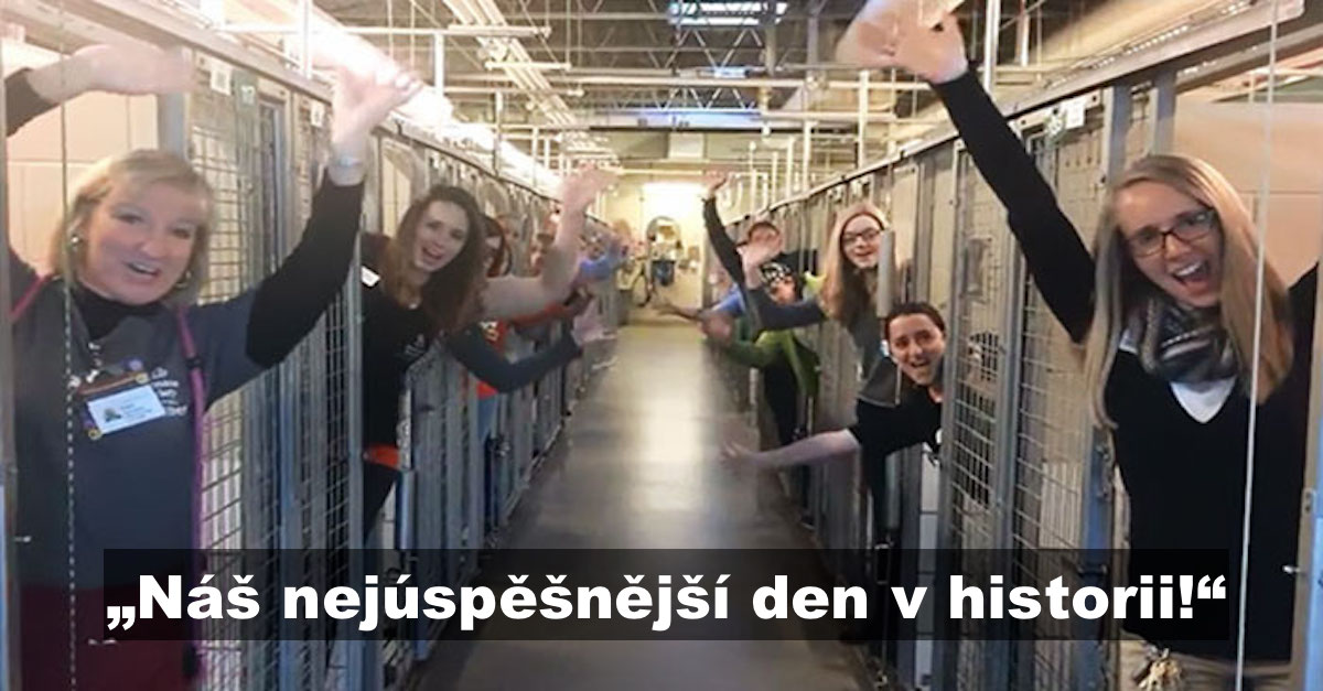 Psí útulek slaví nejúspěšnější den v historii, protože všechny kotce jsou prázdné