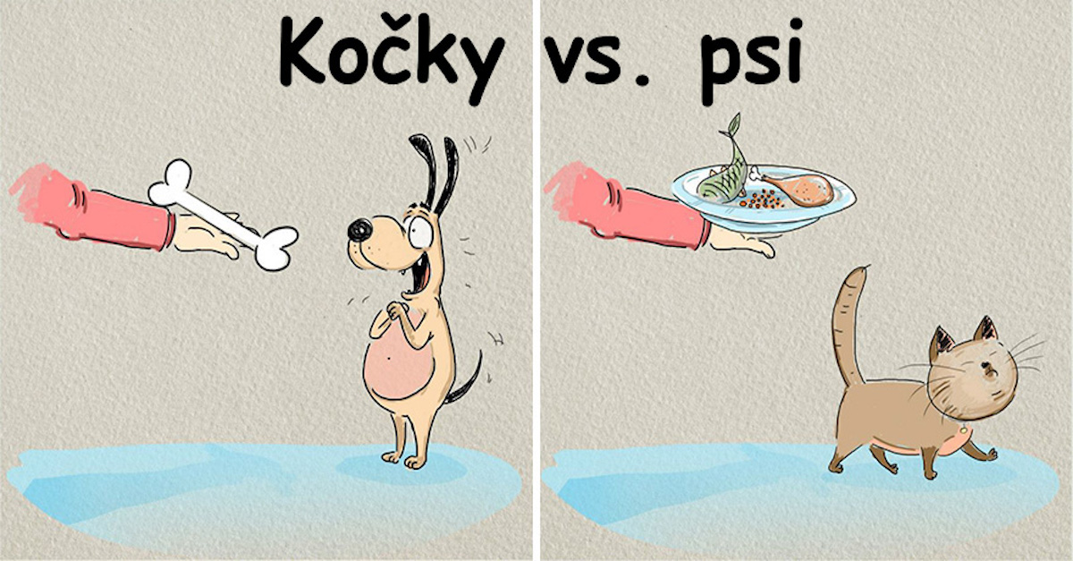 Kočky vs. psi: 6 rozdílů a nekonečný boj o prvenství