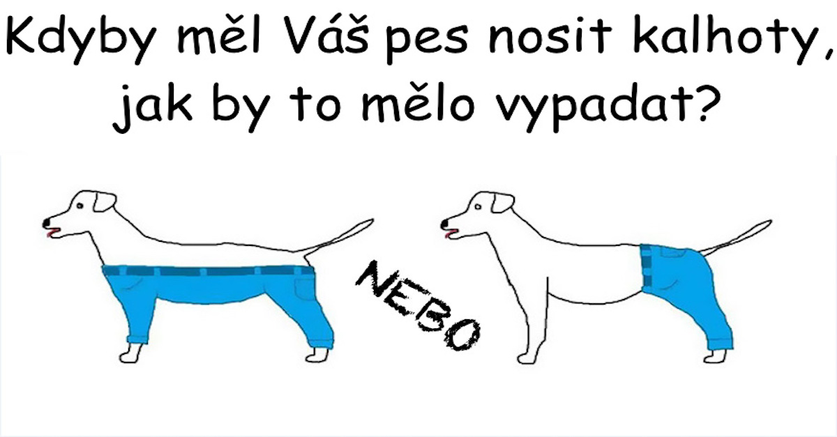 Čas na seriózní otázku: Jak by měl pes nosit kalhoty?