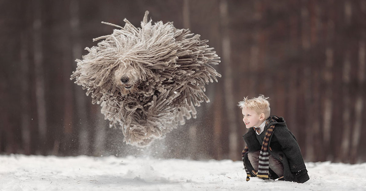 Tenhle obrovský chlupáč hrající si s dítětem Vám zlepší den! ツ