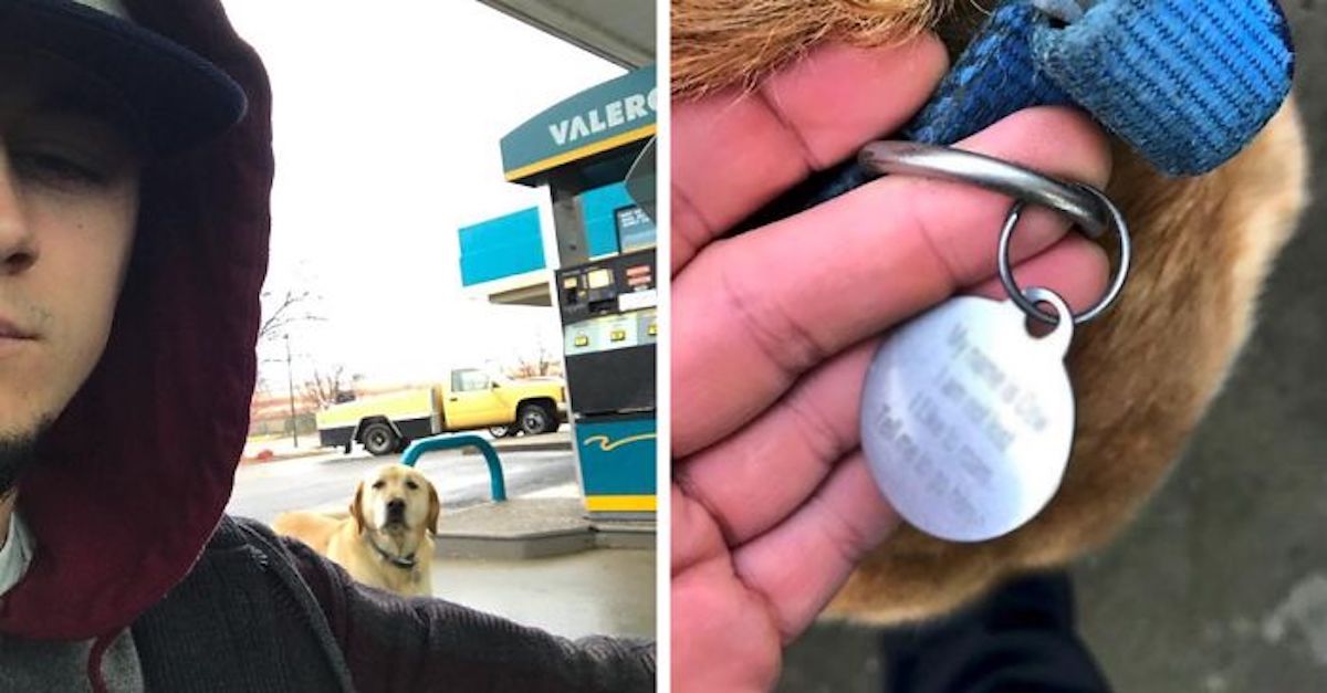 Našel „ztraceného psa“, snažil se mu pomoct do té doby, než našel jeho psí známku...