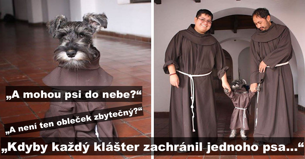 Klášter adoptoval psa, který si nyní užívá život mnicha