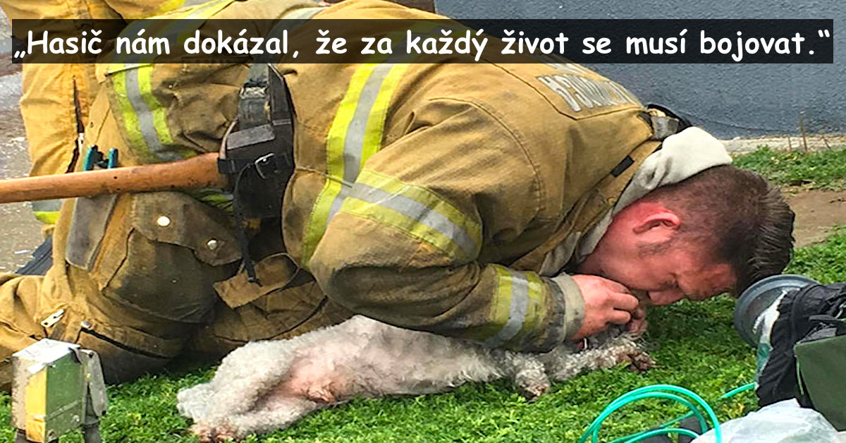 Hasič zachránil psa z hořícího domu, nechtěl ho nechat zemřít, použil dýchání z úst do úst…
