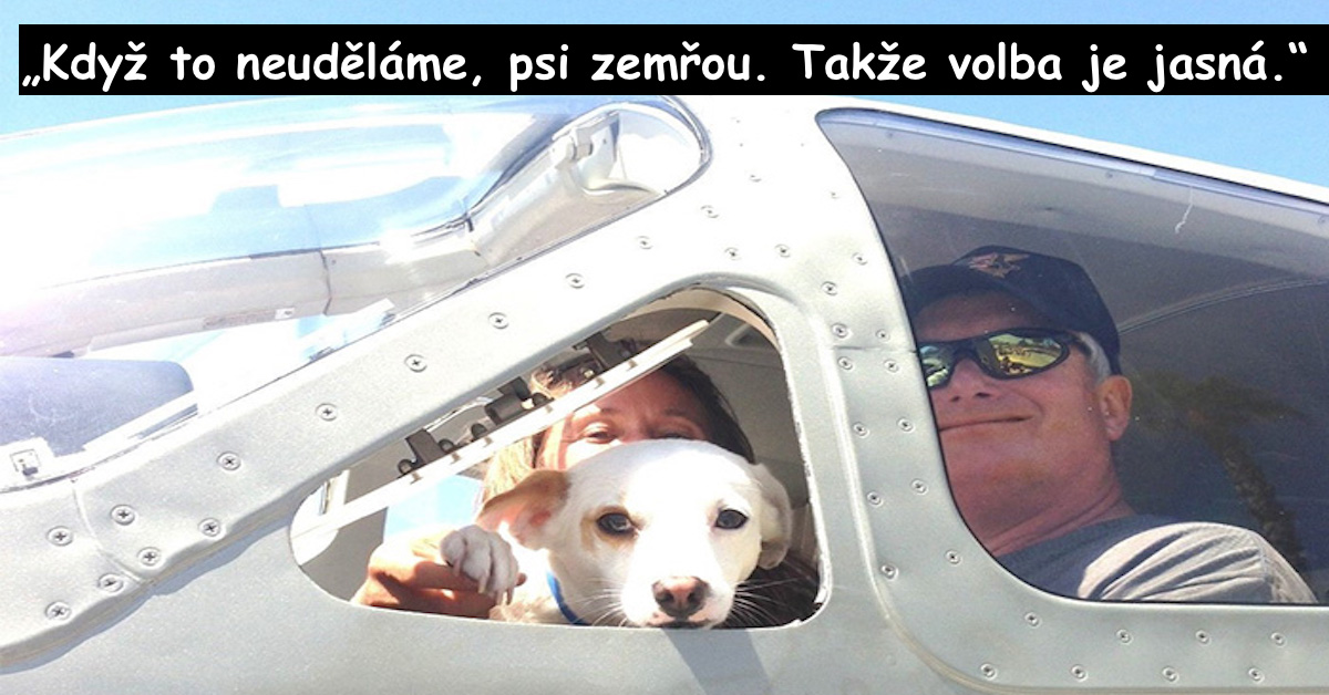Piloti převáží psy z útulku, aby je zachránili před eutanázií