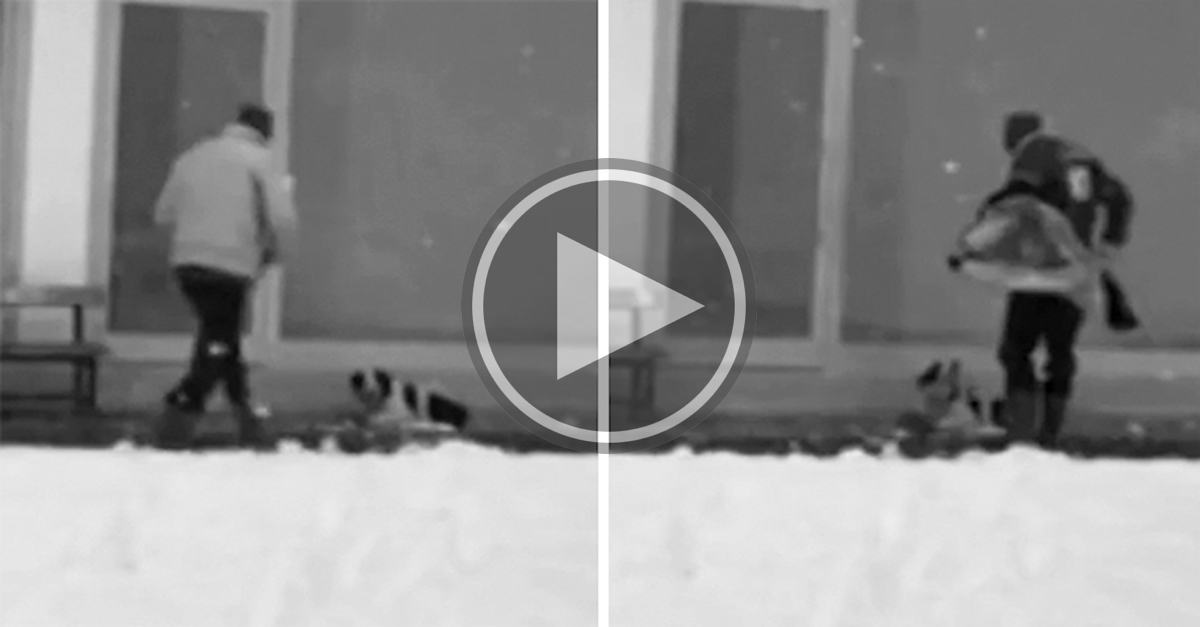 Bezpečnostní kamera zachytila muže, který udělal tu nejúžasnější věc pro mrznoucího psa