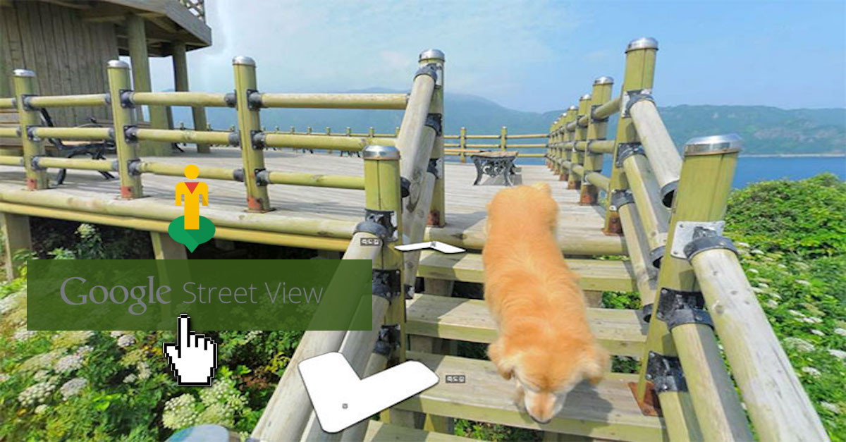 Pes pronásledoval Google fotografa Street View a každá sekvence je dokonalá