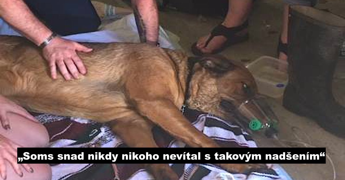 Hasič vběhl pro psa do domu v plamenech, musel použít masáž srdce a umělé dýchání