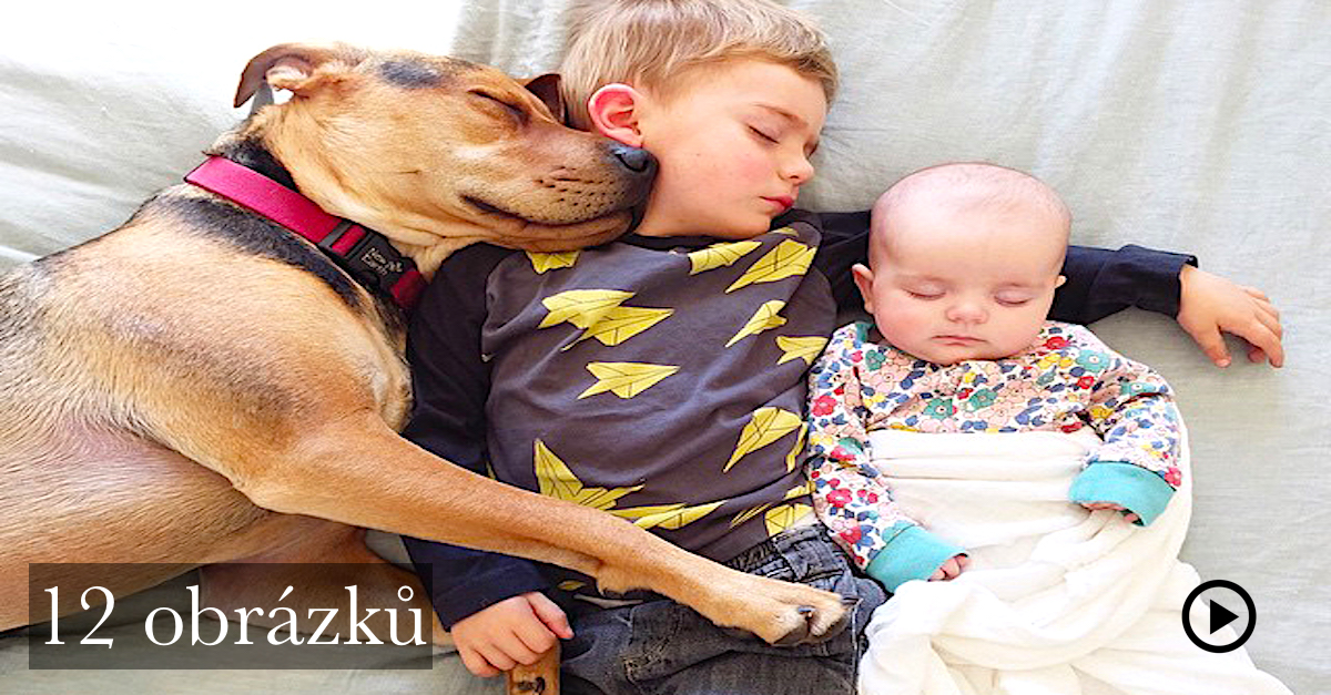 Celosvětově známá dvojka má nové členy! Aneb „děti a psi“