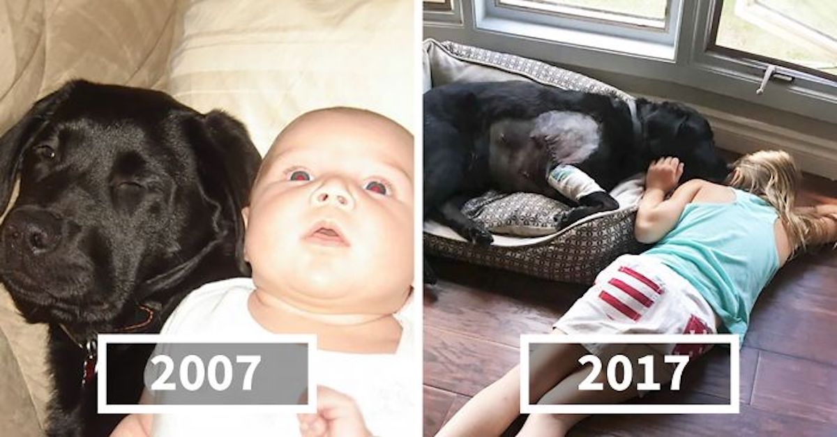 Řekla jsem své sestře, že NEsmí mít psa, když právě porodila dítě, ale ona neposlechla