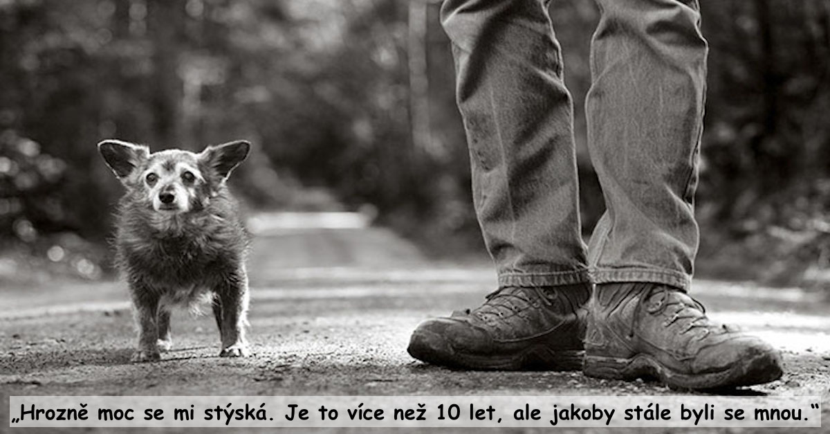 13 starých duší zachycených umělcem LeVine