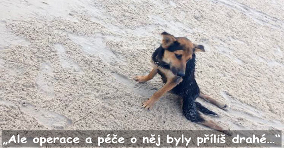 Neuvěřitelný příběh Lea, kterého našli na pláži v Thajsku