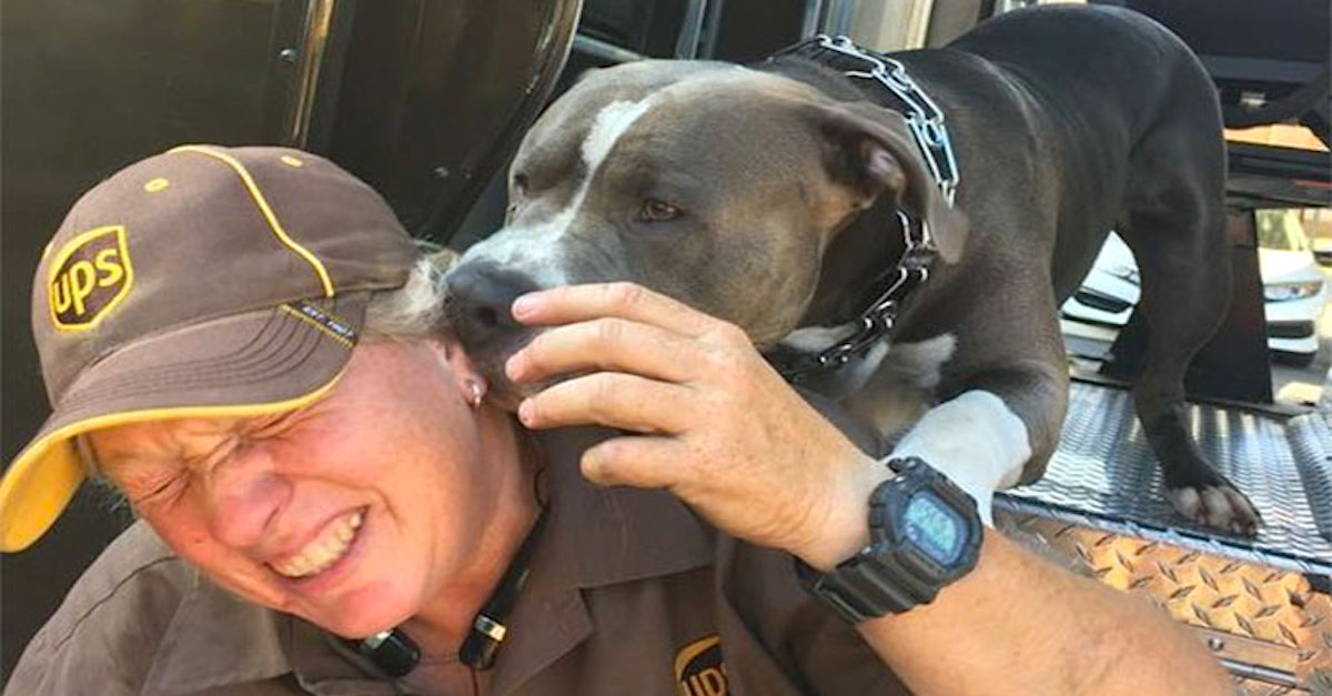 Tahle řidička UPS právě adoptovala pitbula, protože jeho majitel odešel…