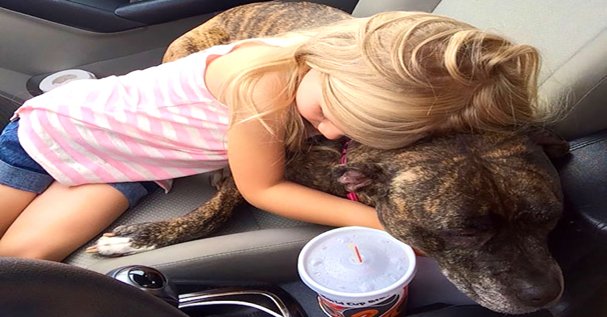 Jak se pozná správný rodič? (5+ obrázků)