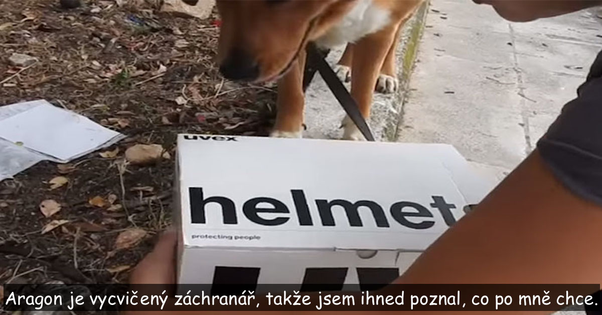 Tenhle pes zavedl svého majitele do hlubokého lesa, aby mu ukázal krabici s překvapením…