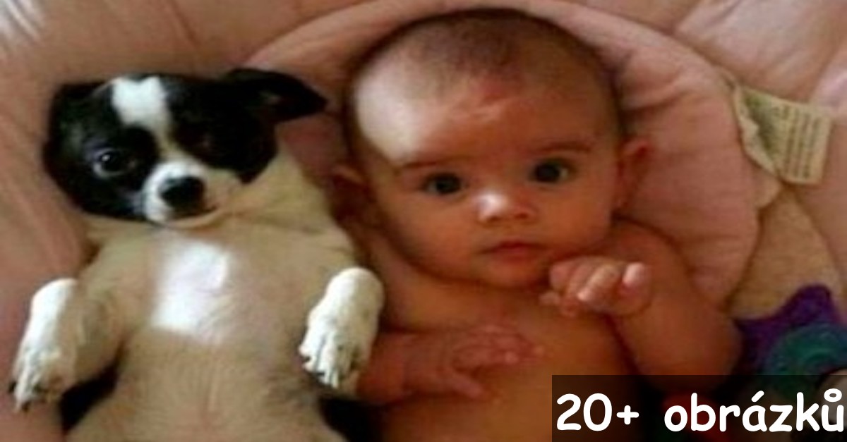 Příznaky: Jak poznat, že Vaše dítě tráví se psem příliš mnoho času?