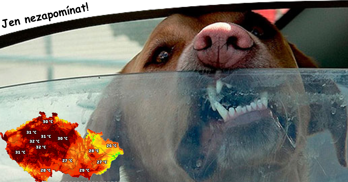 Při teplotě vzduchu 30°C je v autě i přes 70°C