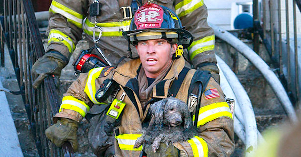 8 hasičů, kteří riskovali své životy pro záchranu psa