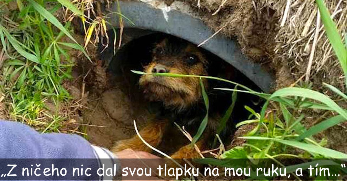 V rouře žil několik dní, naštěstí si ho všiml polský cyklista