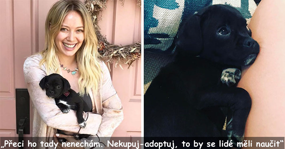 „Tohle štěně nikdo nechtěl, protože bylo jiné a tak jsem ho adoptovala“
