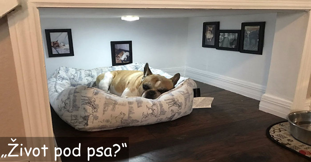 Muž postavil dokonalý pokojíček pro svého nejlepšího přítele